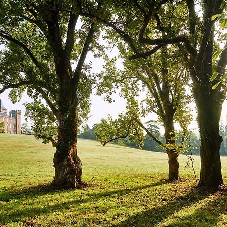 Chateau De Sibra Lagarde  Luaran gambar