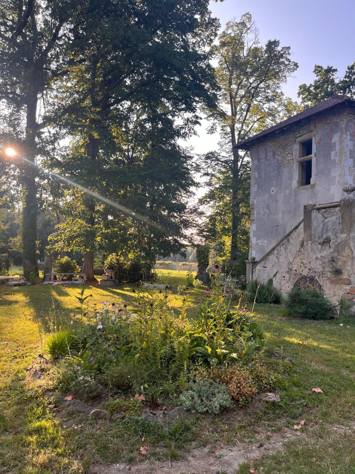 Chateau De Sibra Lagarde  Luaran gambar