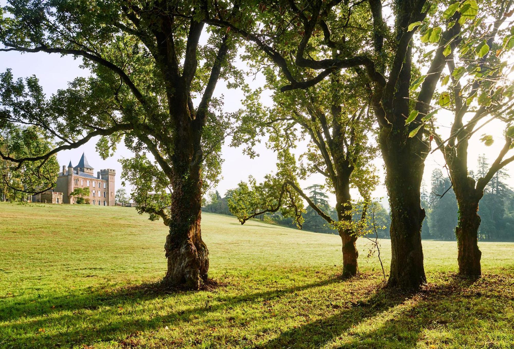 Chateau De Sibra Lagarde  Luaran gambar
